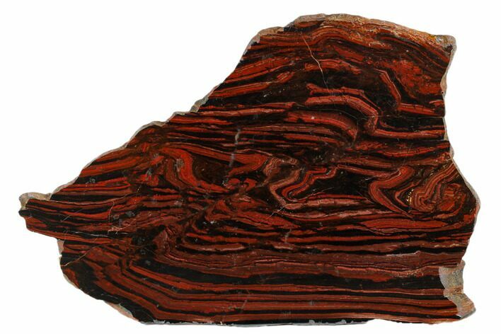 Polished Tiger Iron Stromatolite Slab - Billion Years #178777